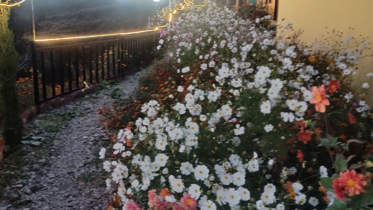 Photo of Outdoor in Kanatal