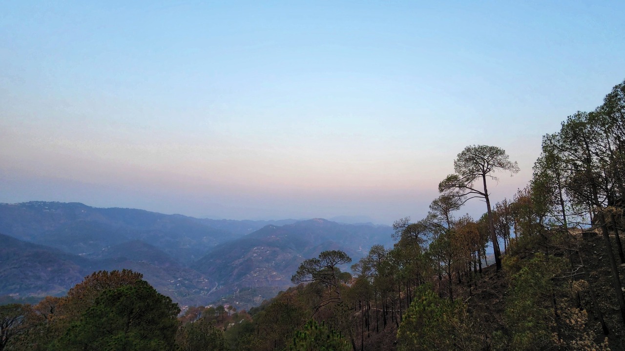 Photo of Outdoor in Kumarhatti