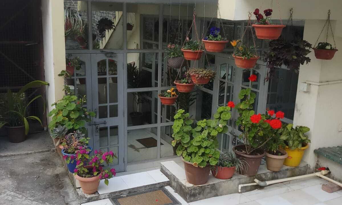 Photo of Outdoor in Shyamkhet