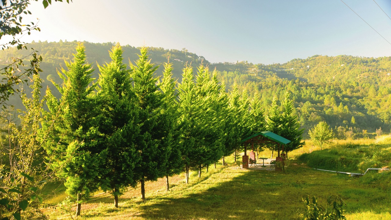 Photo of Outdoor in Kaul