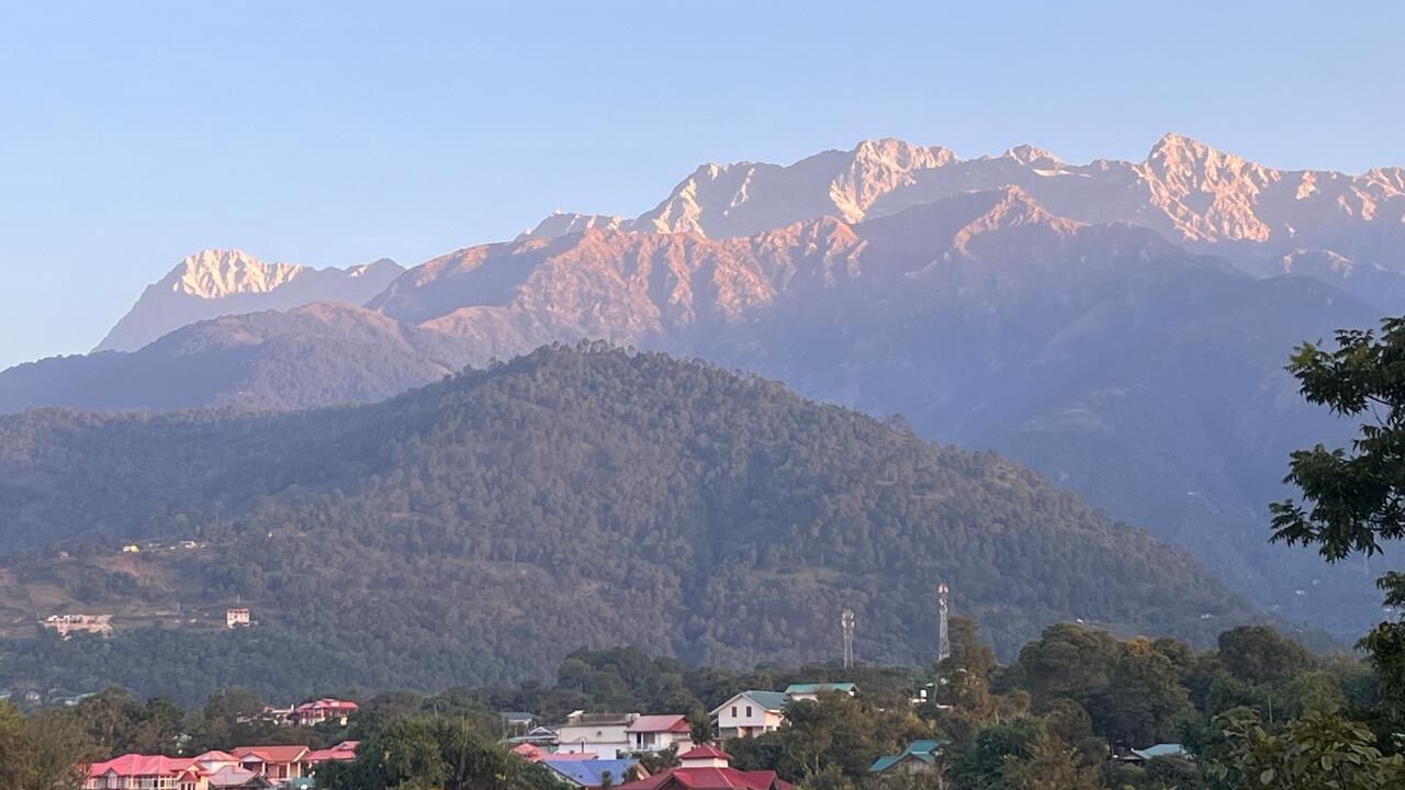 Photo of Others in Palampur