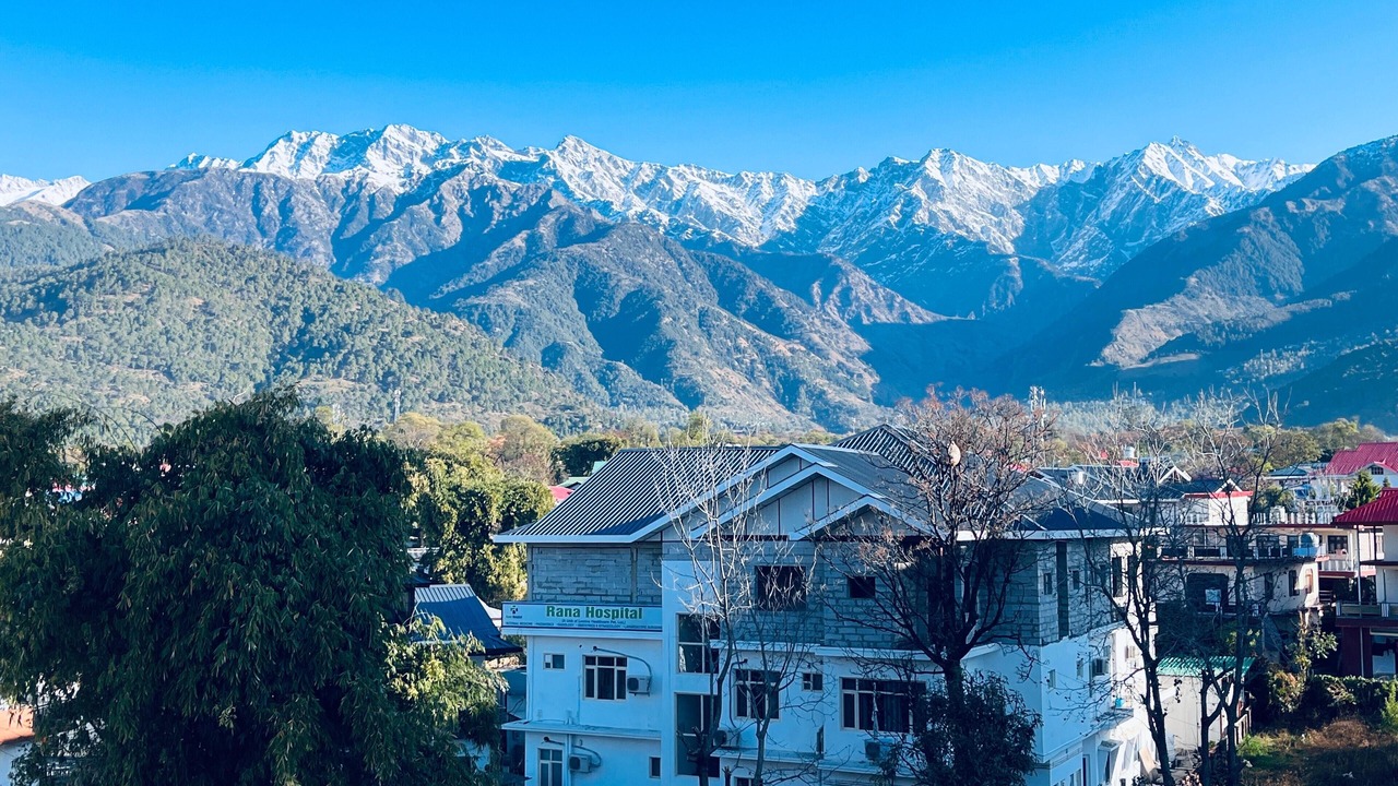 Photo of Others in Palampur