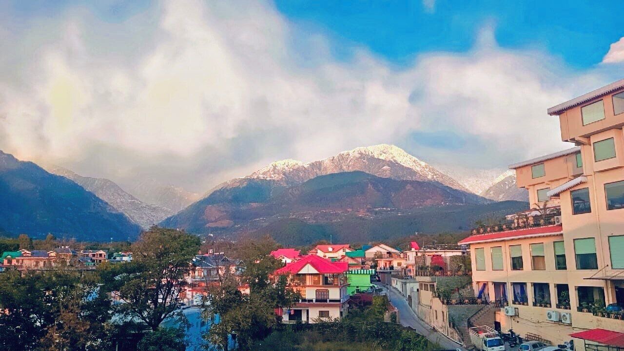 Photo of Others in Palampur