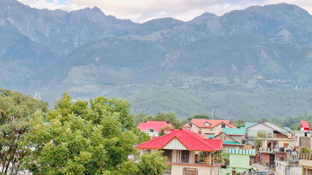 Photo of Others in Palampur