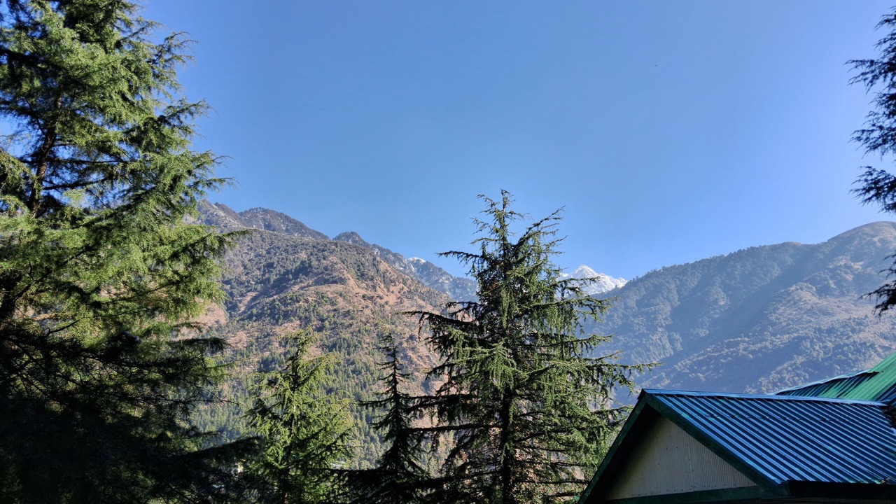 Photo of Bedroom in Dharamshala
