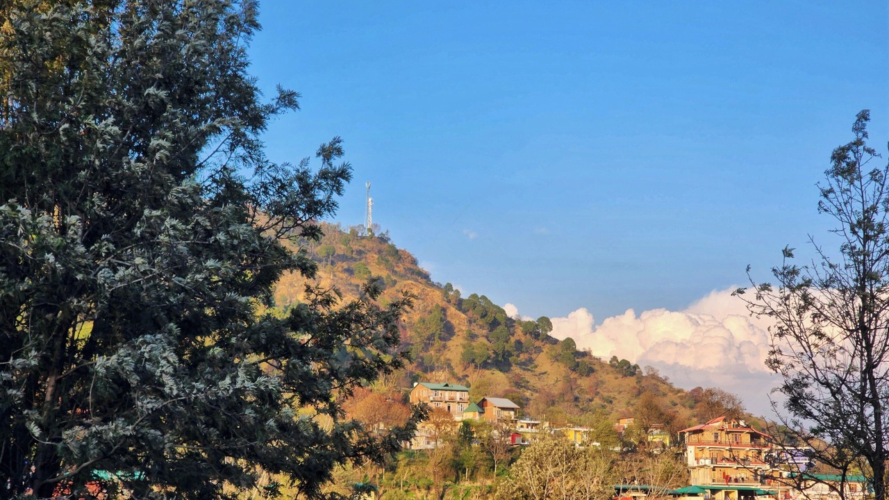Photo of Others in Solan
