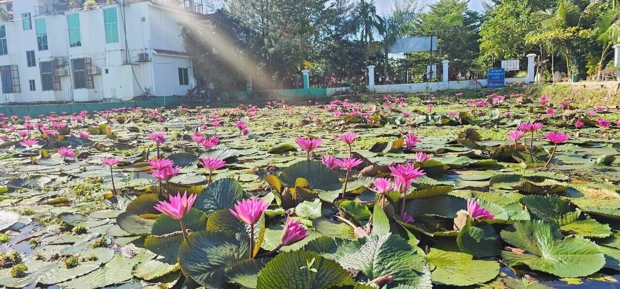 Photo of Outdoor in Dhaka Division