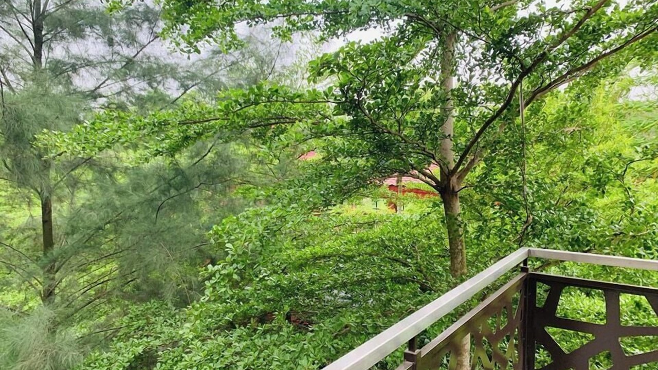 Photo of Outdoor in Dhaka Division