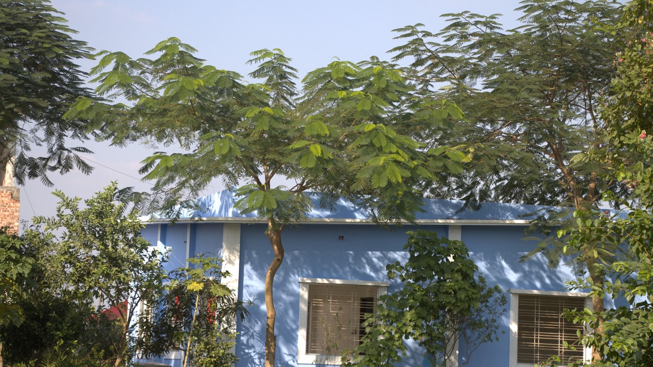 Photo of Outdoor in Savar