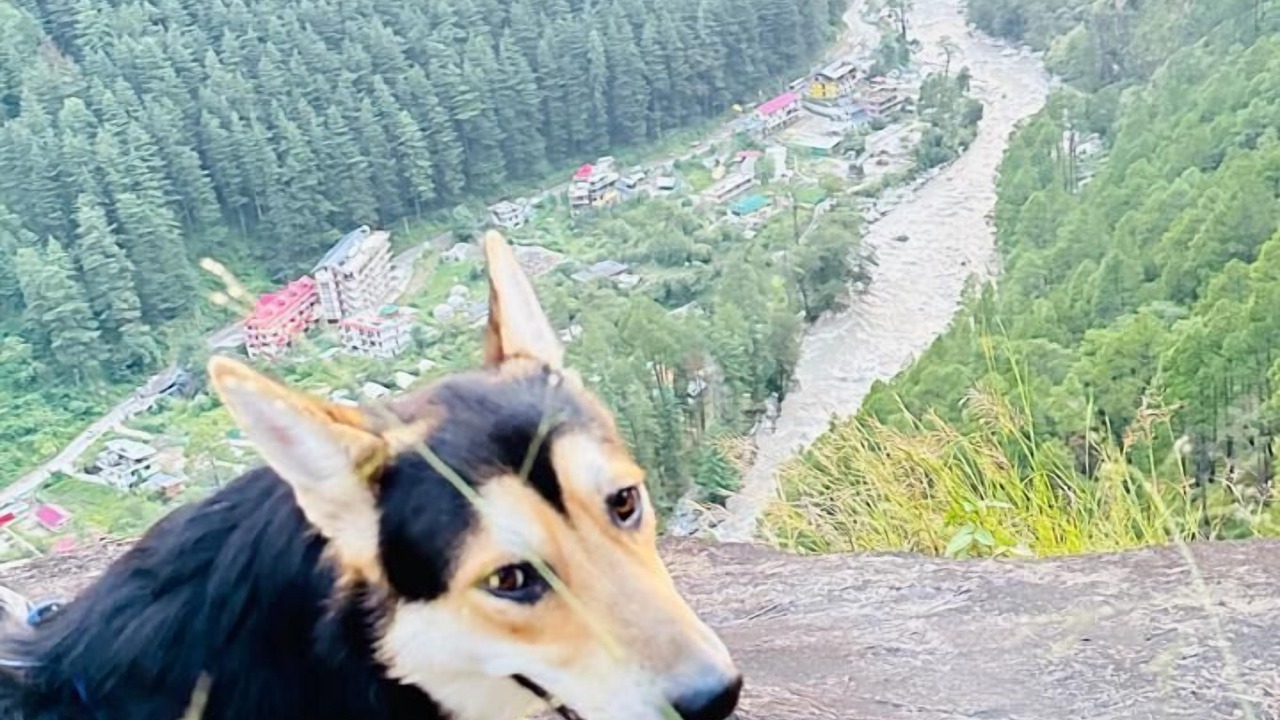 Photo of Outdoor in Kasol