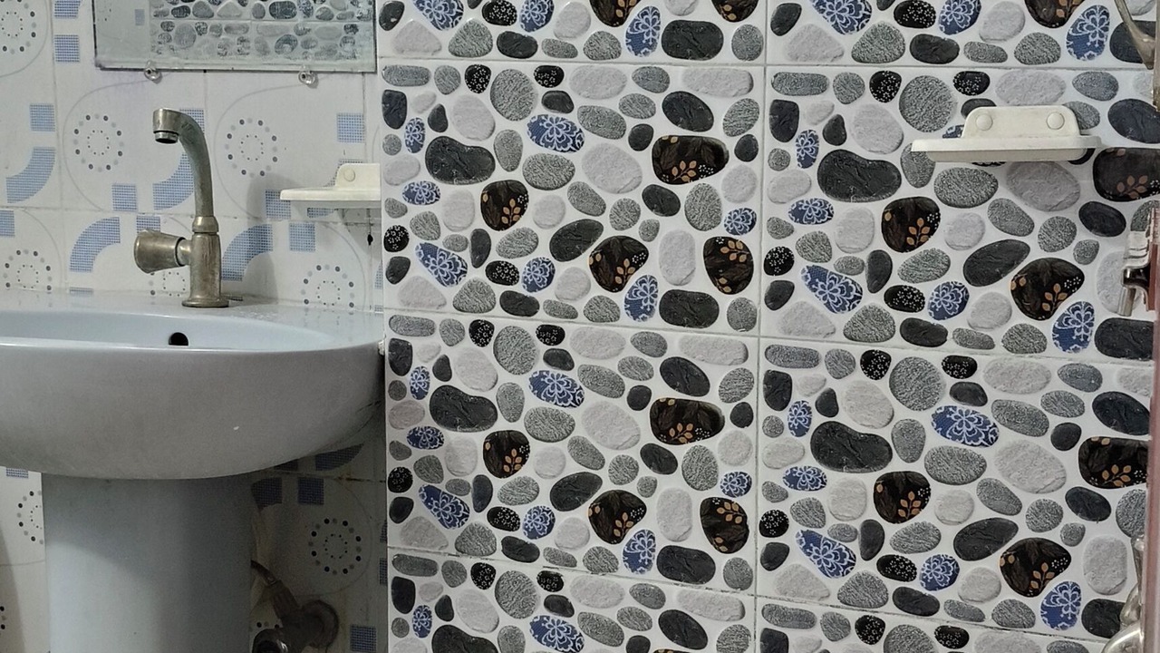 Photo of Bathroom in Bhadra