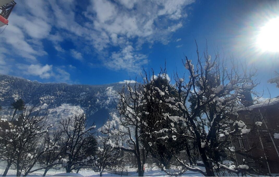 Photo of Others in Old Manali