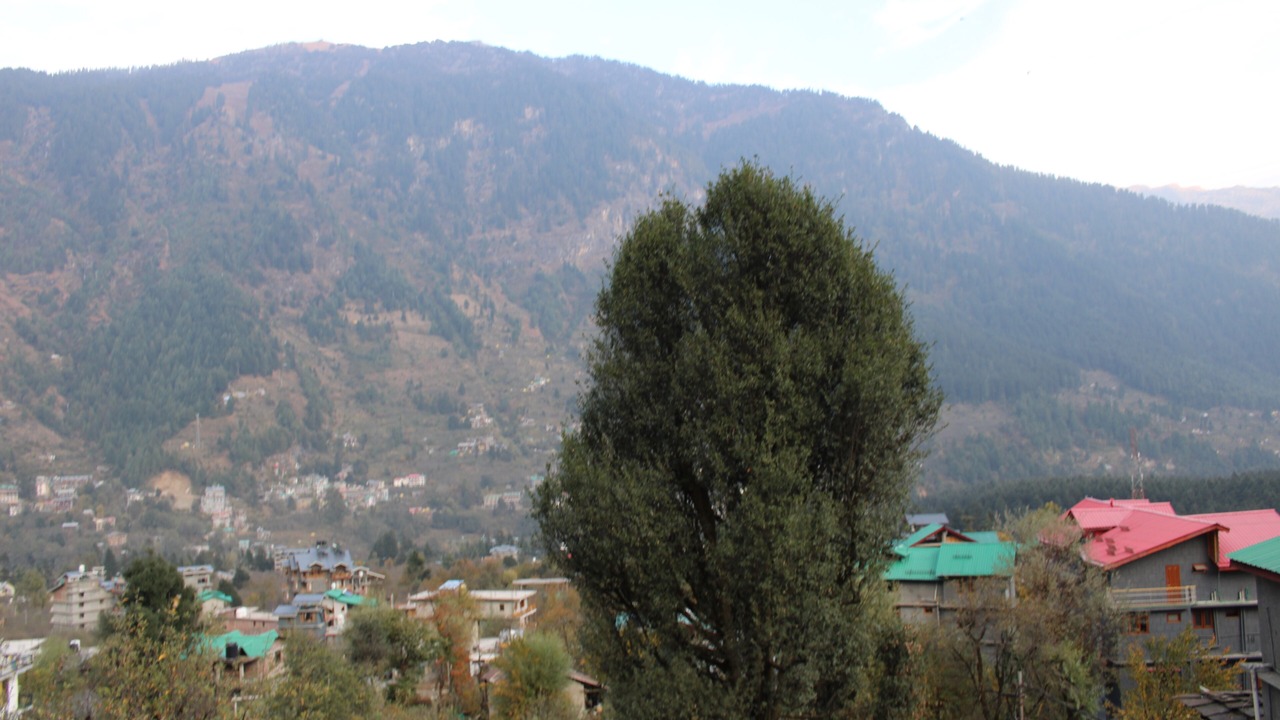 Photo of Others in Old Manali