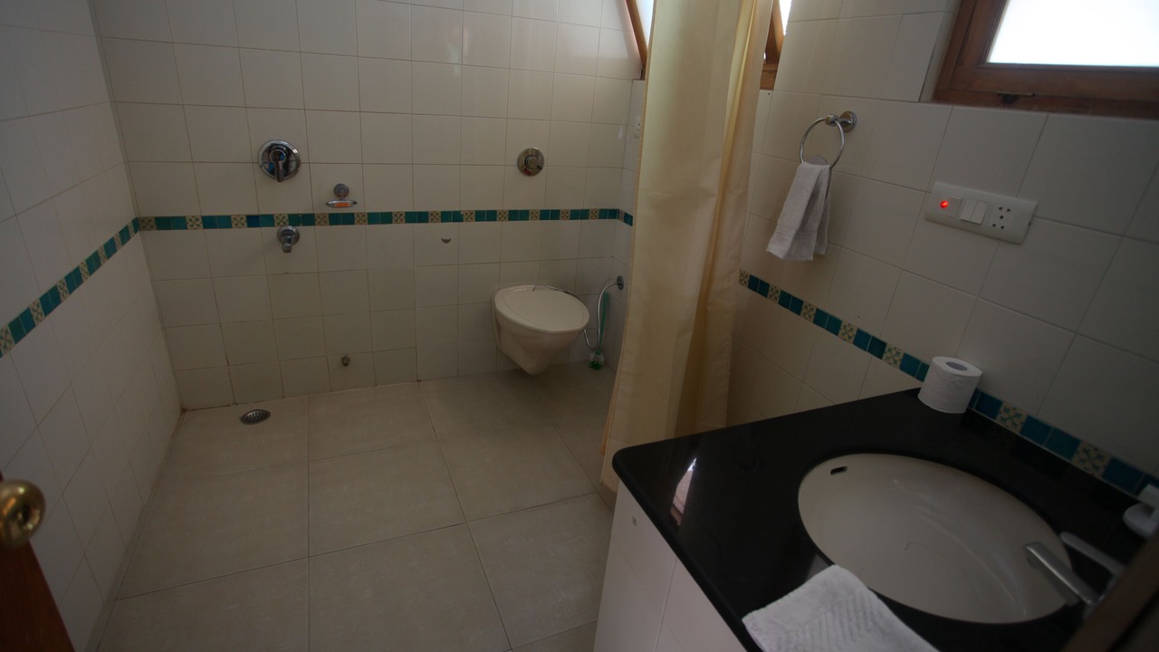 Photo of Bathroom in Leh