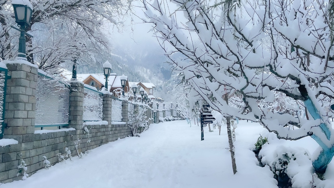 Photo of Outdoor in Manali