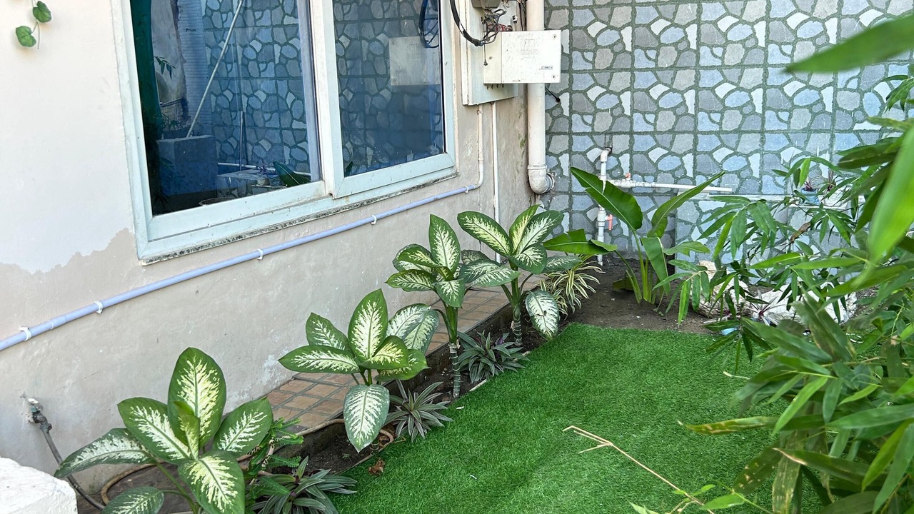 Photo of Outdoor in Tapovan