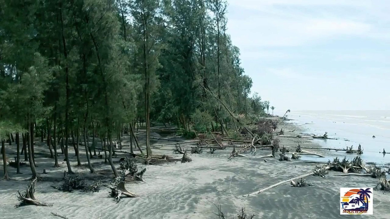 Photo of Outdoor in Latachapli