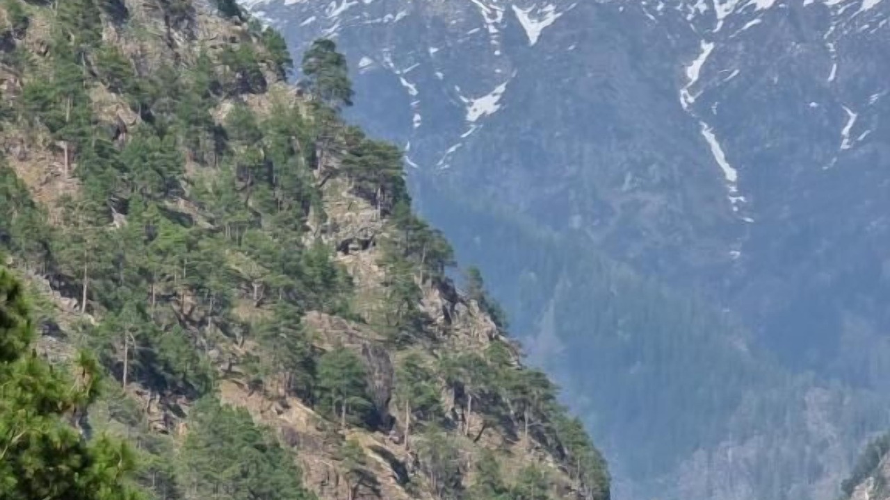 Photo of Others in Kasol