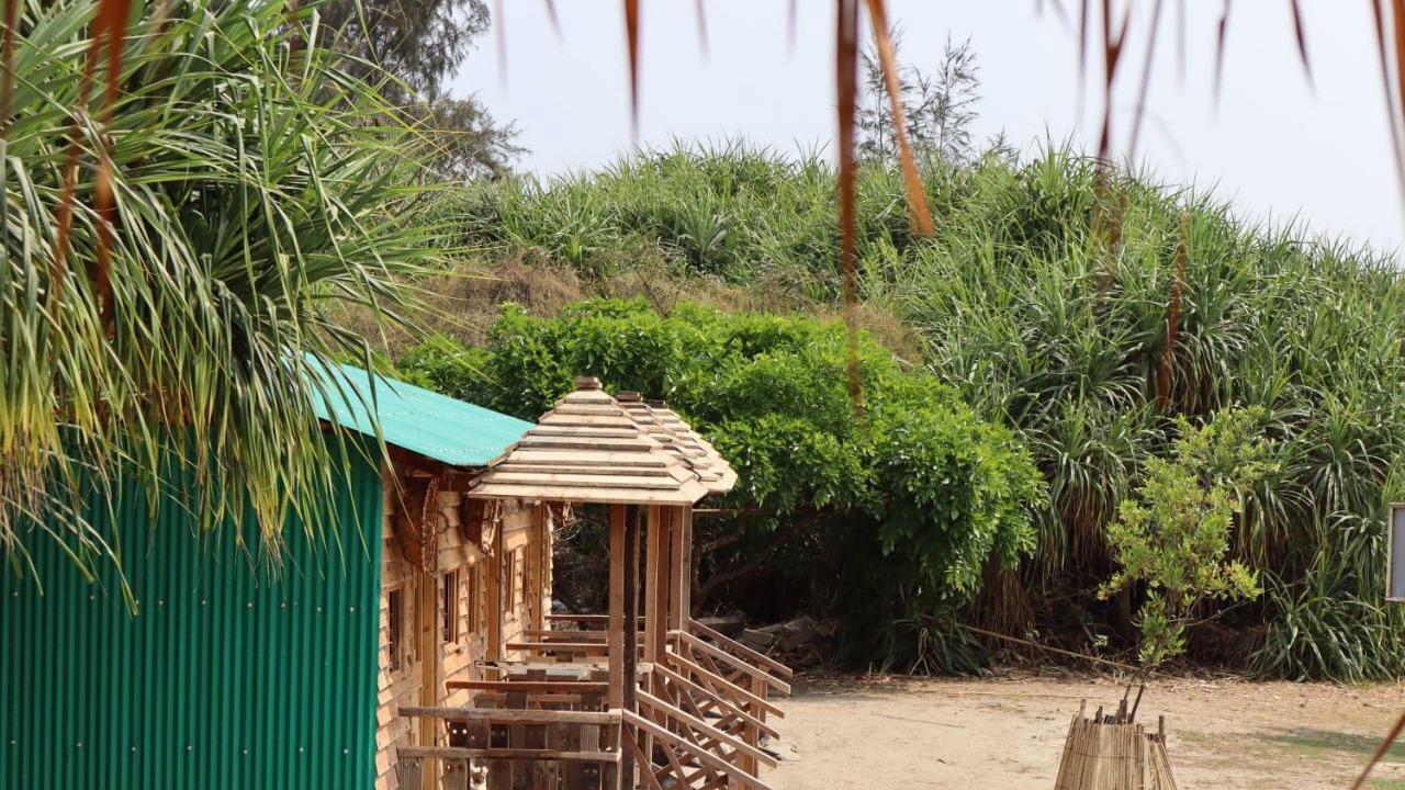 Photo of Outdoor in Saint Martin's Island