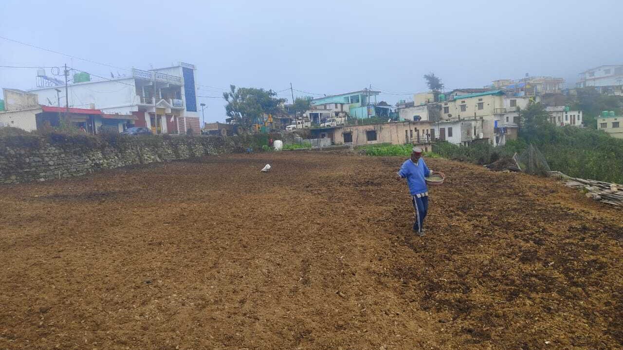 Photo of Outdoor in Chakrata