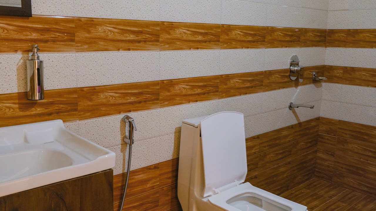 Photo of Bathroom in Kaul