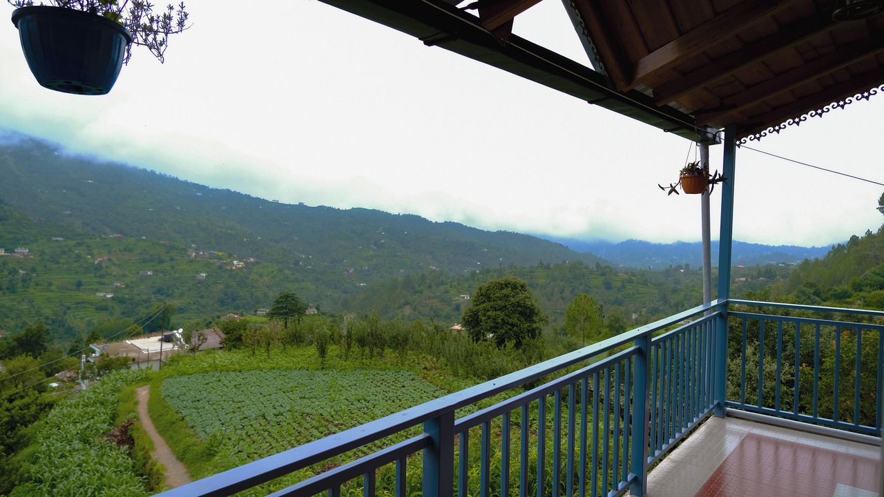 Photo of Outdoor in Kaul