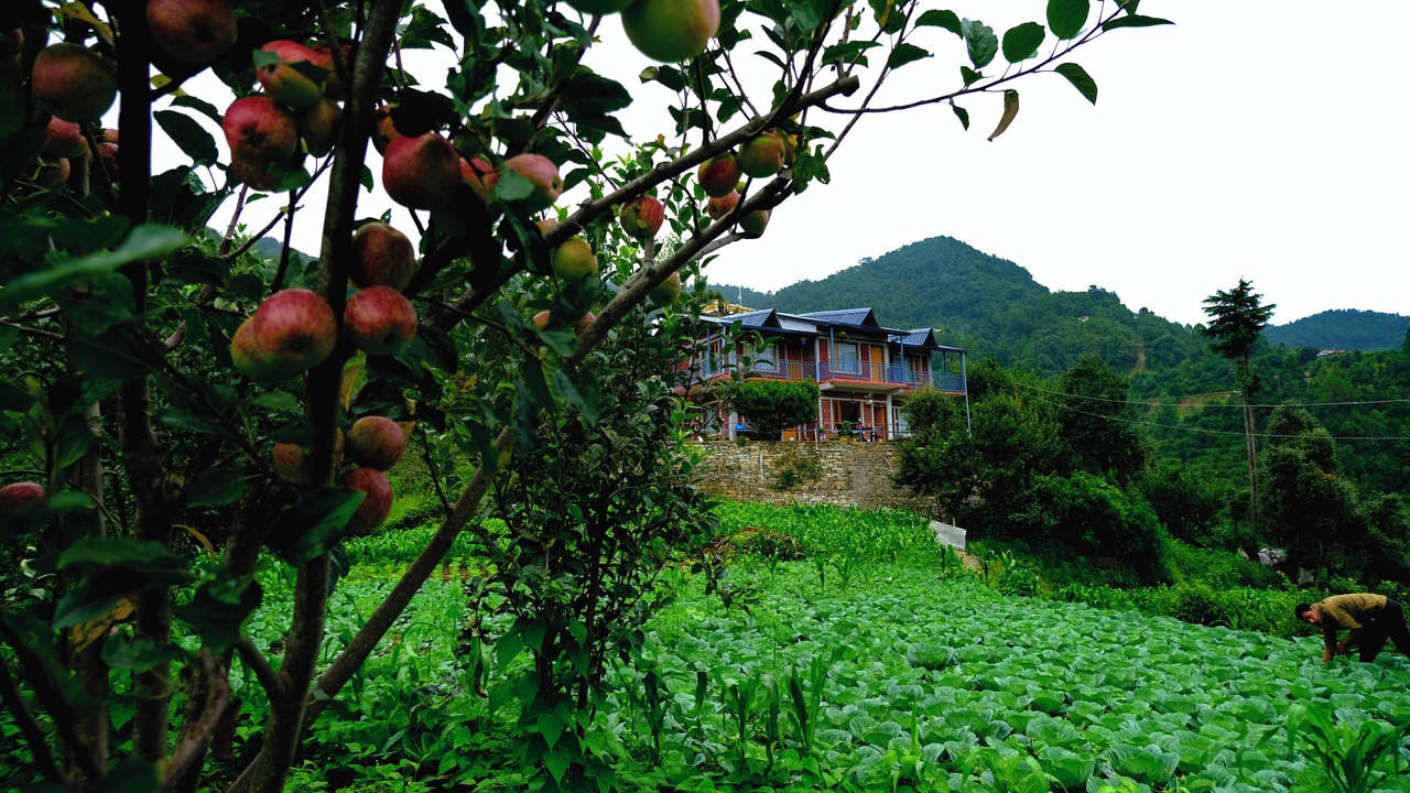 Photo of Outdoor in Kaul