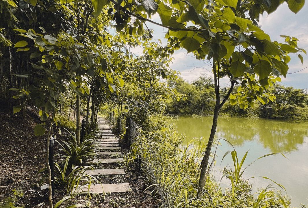 Photo of Outdoor in Mhow