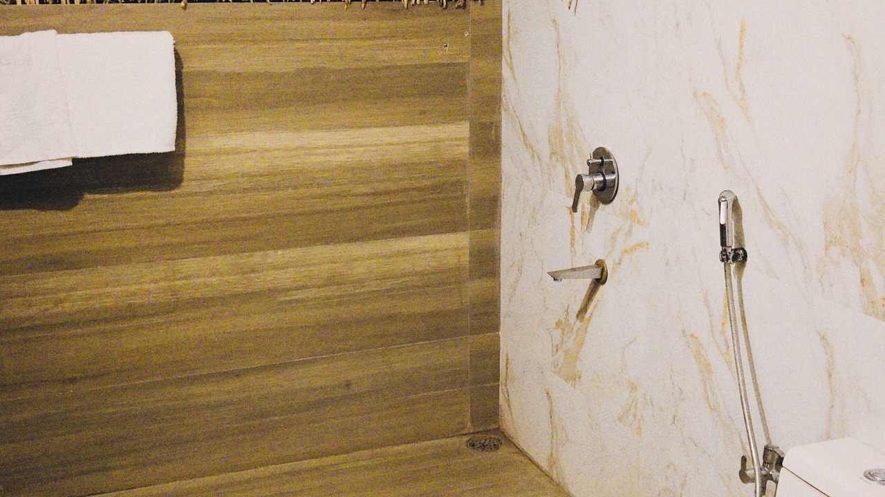 Photo of Bathroom in Mhow