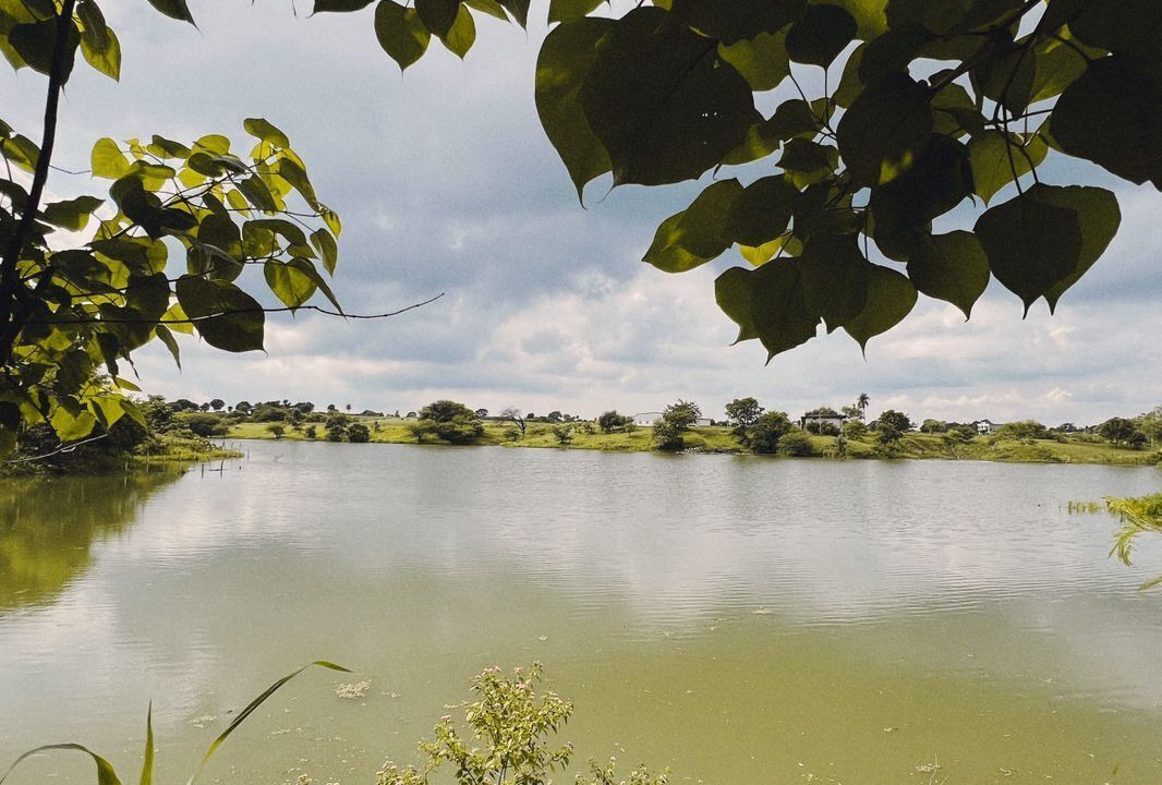 Photo of Outdoor in Mhow