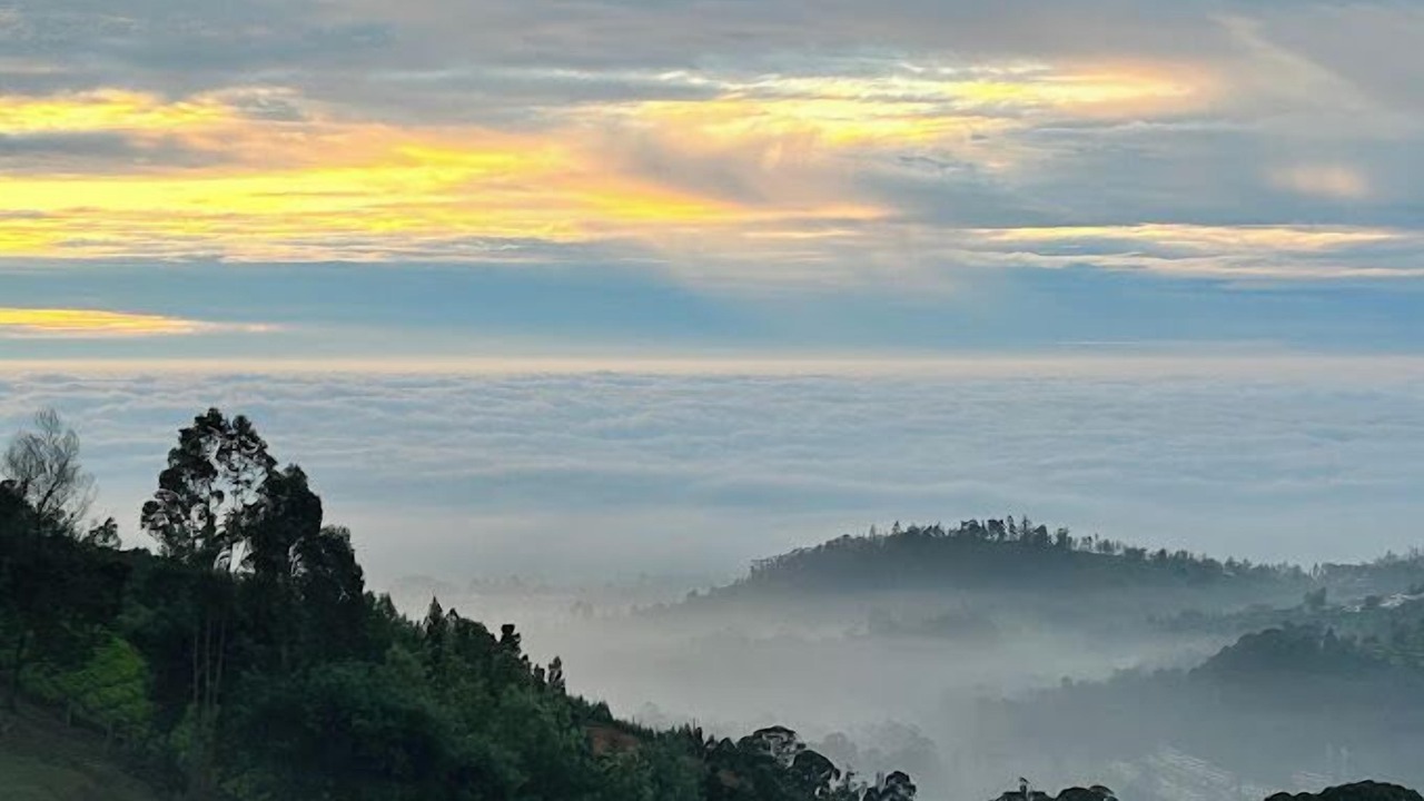 Photo of Others in Ooty