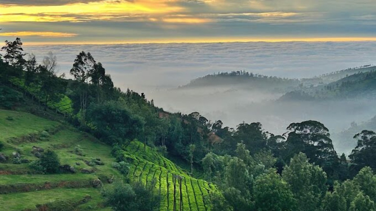 Photo of Patio Balcony in Ooty