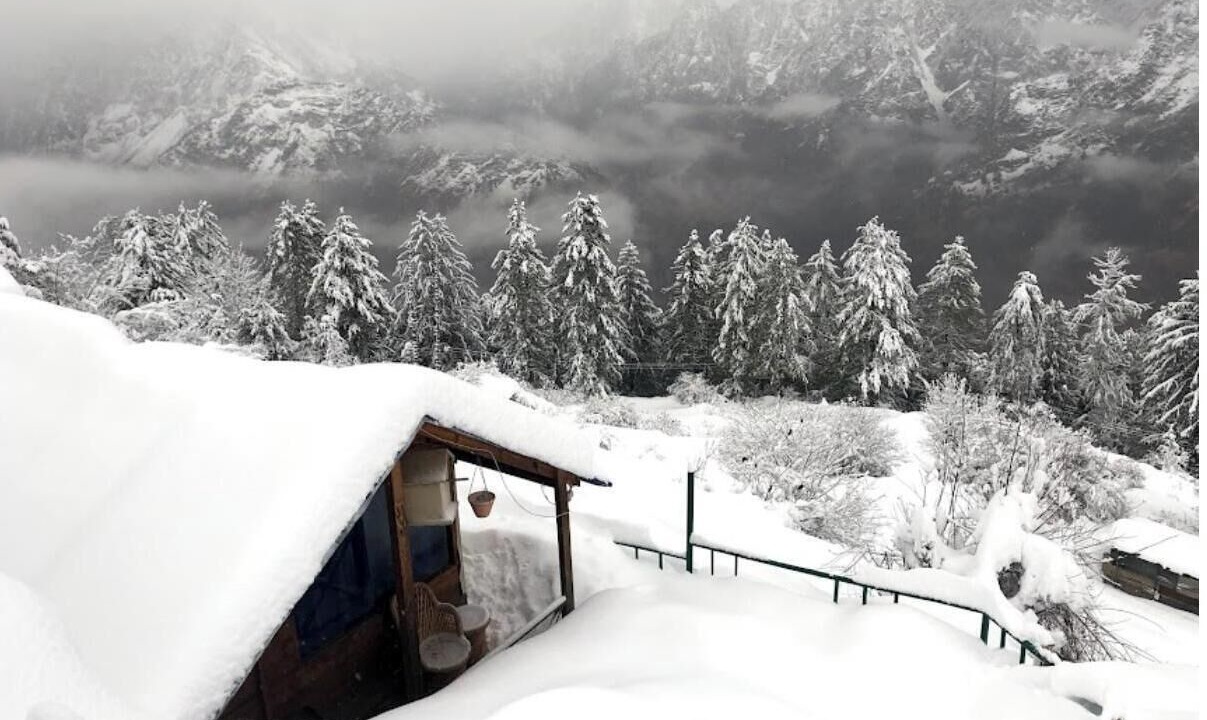 Photo of Others in Auli