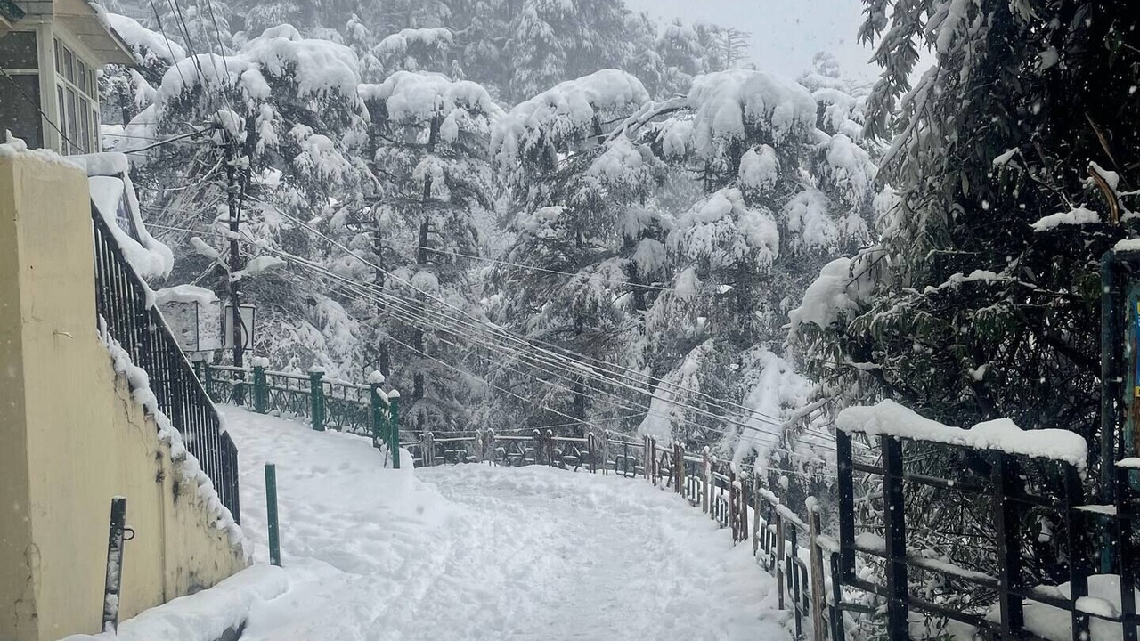 Photo of Outdoor in Shimla