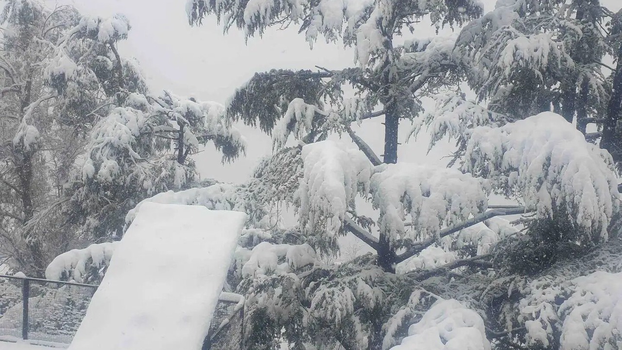 Photo of Outdoor in Shimla