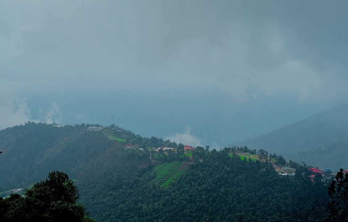 Photo of Others in Shimla