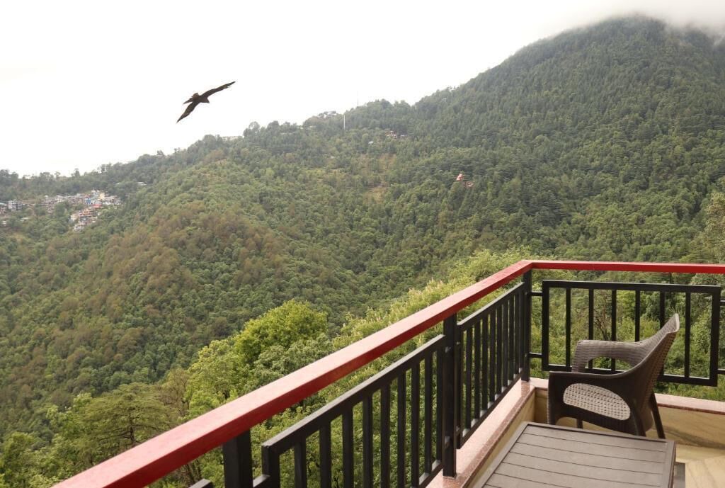 Photo of Others in McLeod Ganj