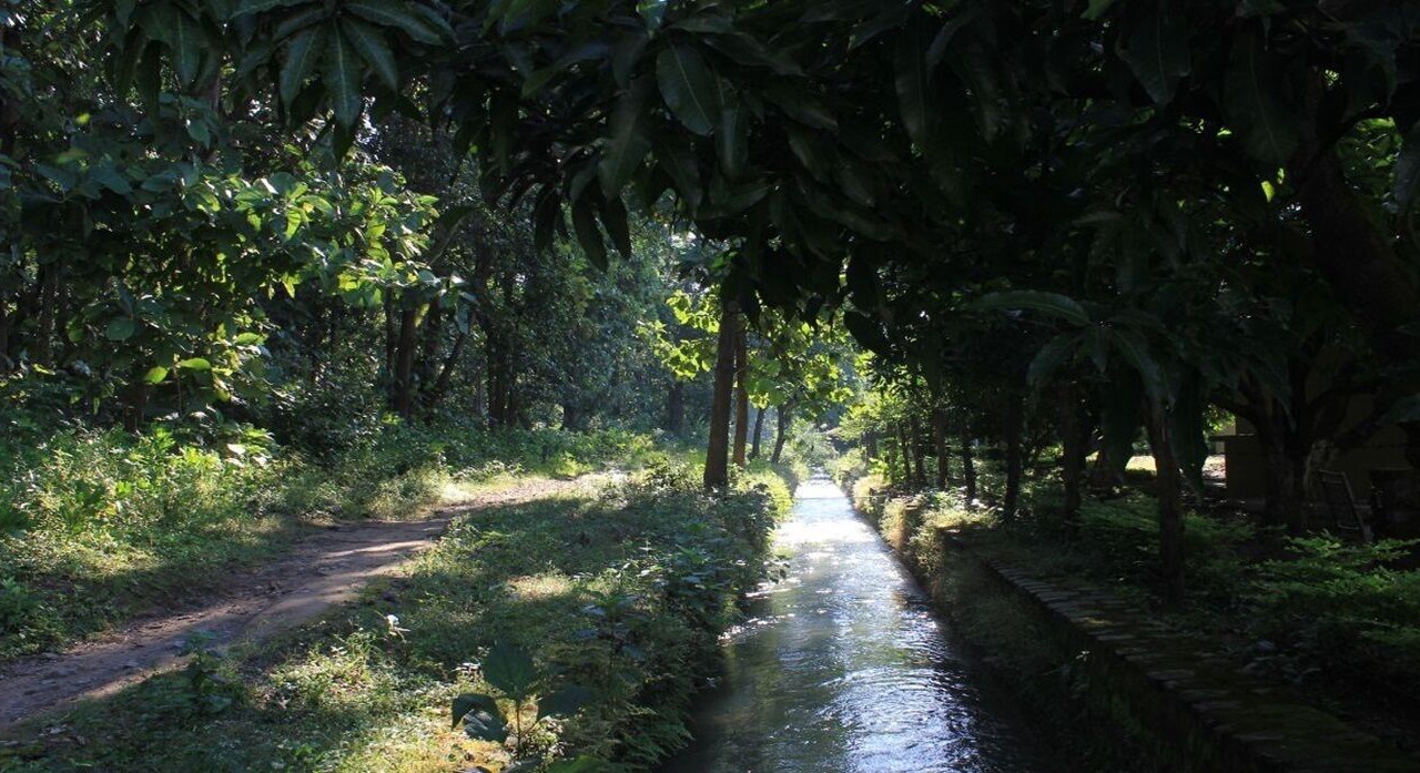 Photo of Others in Kaladhungi