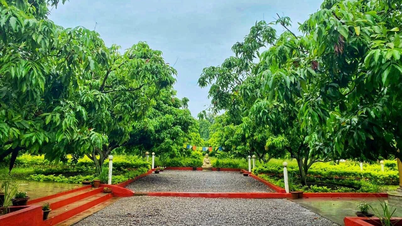 Photo of Outdoor in Kaladhungi