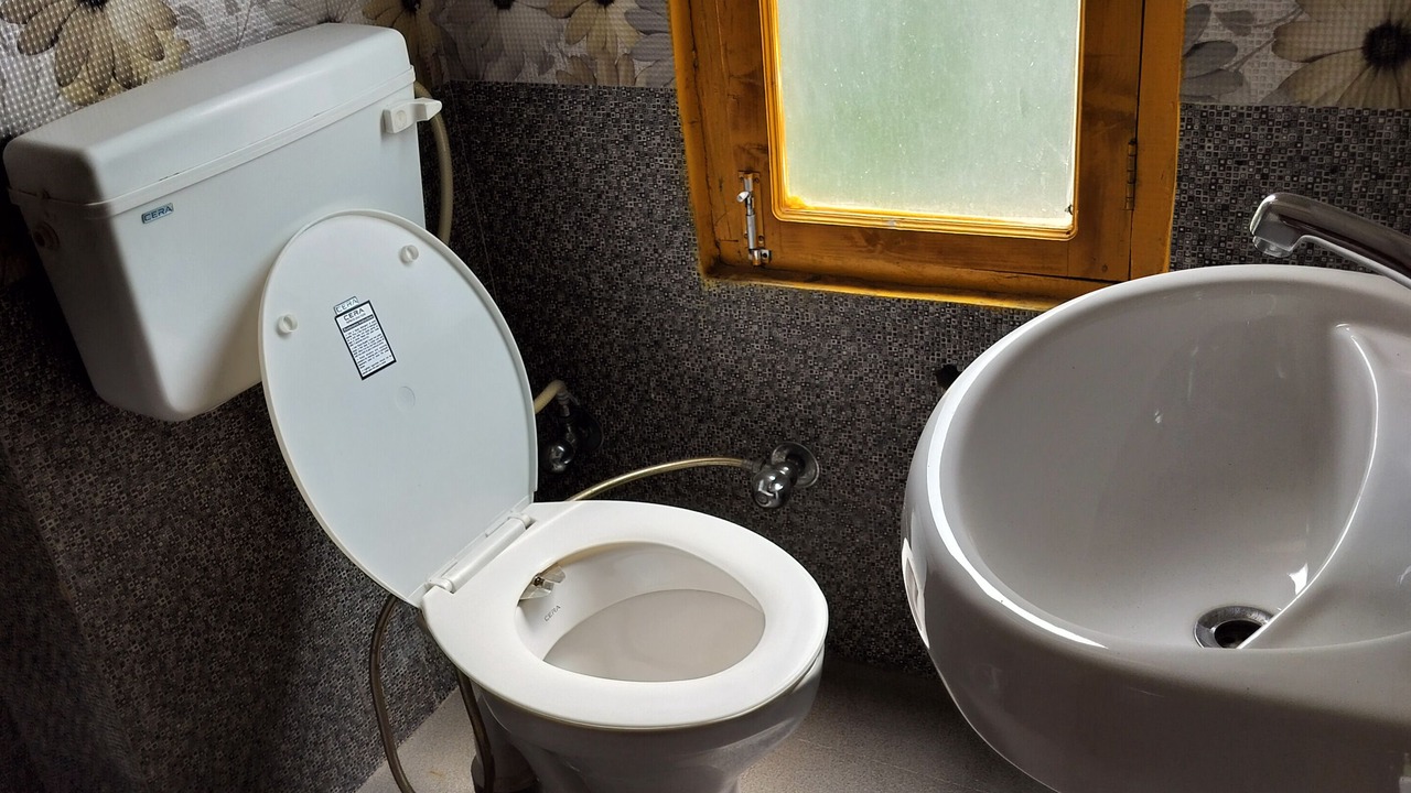 Photo of Bathroom in Kasol