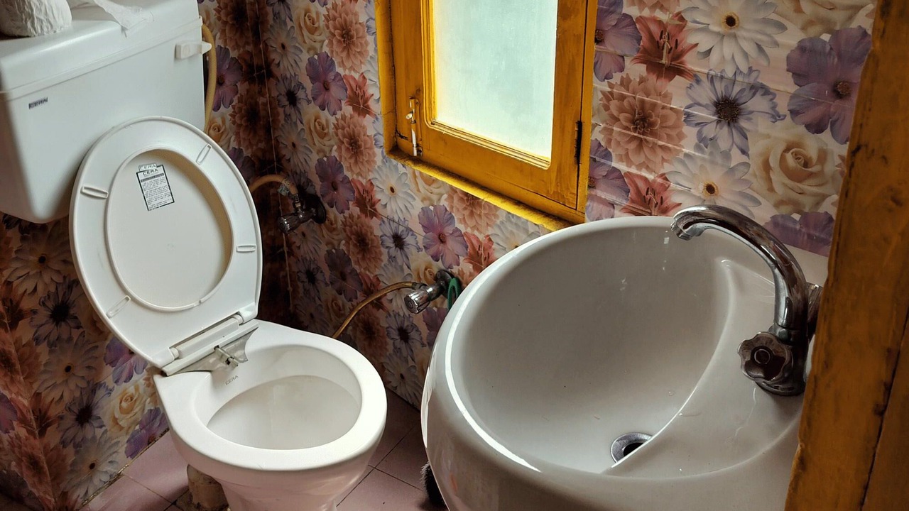 Photo of Bathroom in Kasol