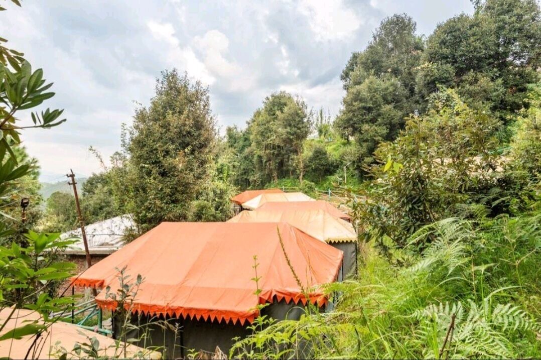 Photo of Outdoor in Kausani