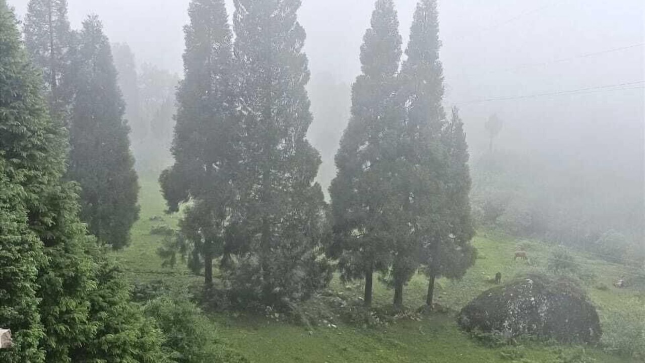 Photo of Outdoor in Lachung