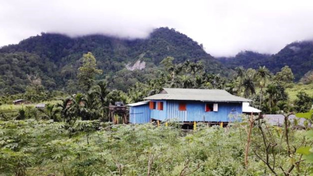 Photo of Outdoor in Alipurduar