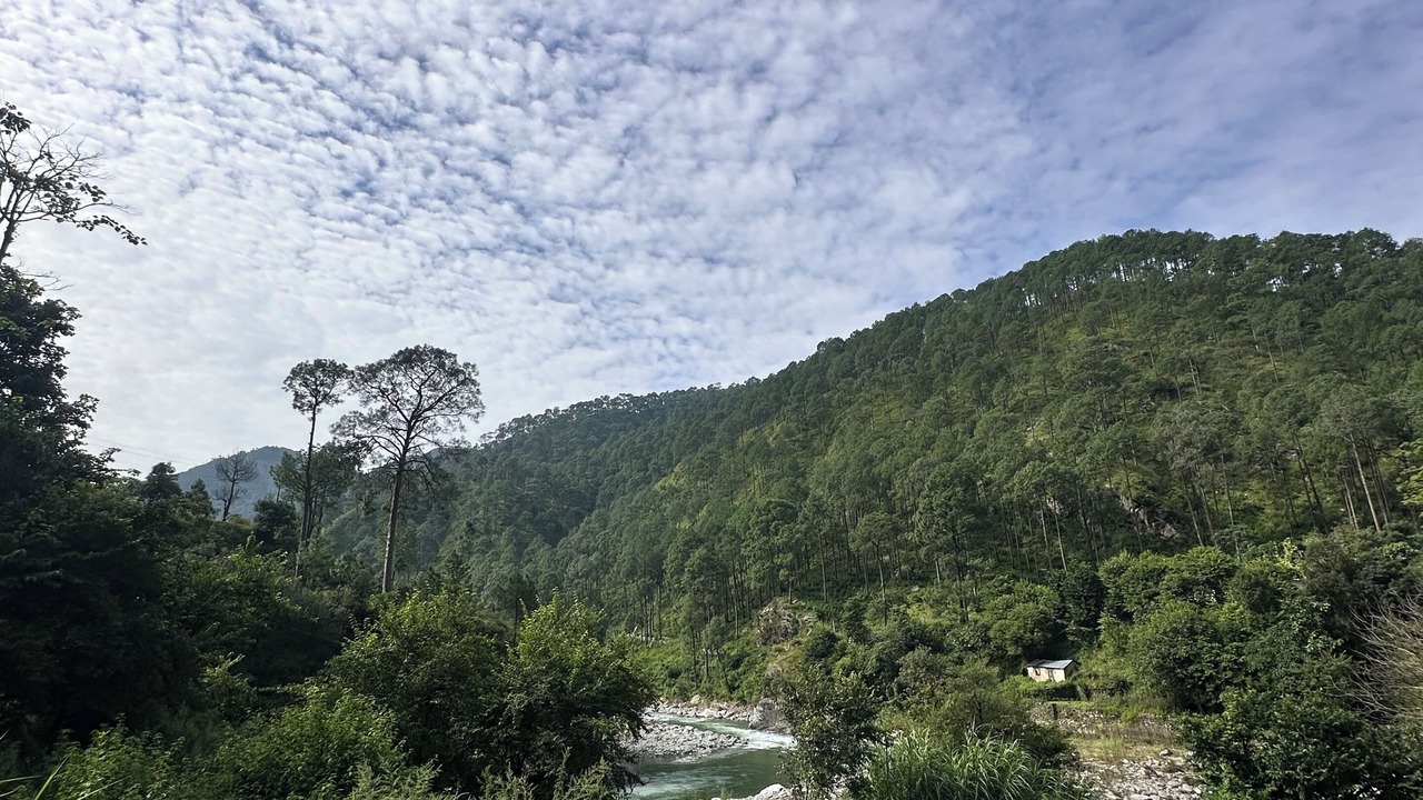 Photo of Others in Kaul