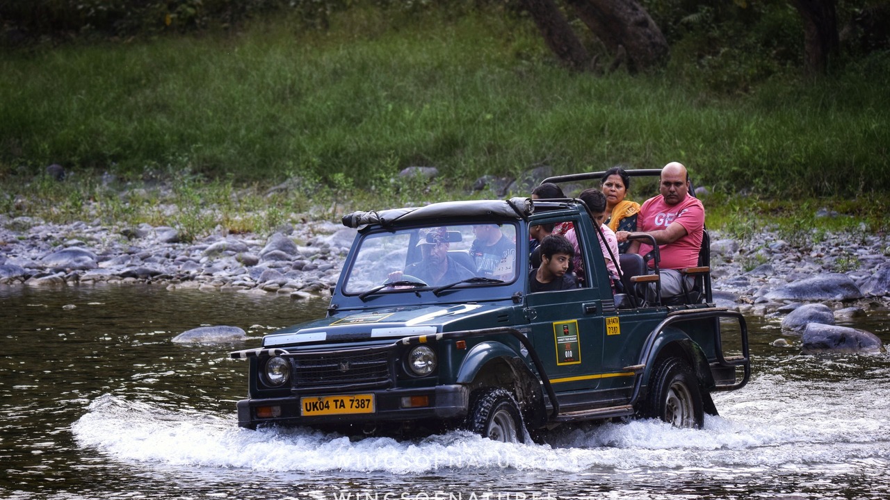 Photo of Others in Sona Nadi Range