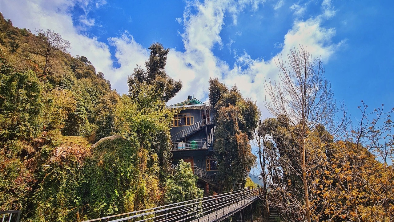 Photo of Others in Dharamshala