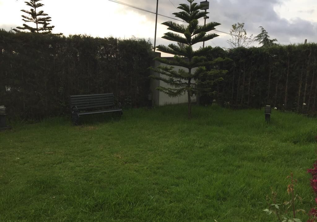 Photo of Outdoor in Ooty