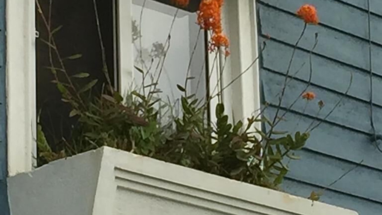 Photo of Patio Balcony in Ooty