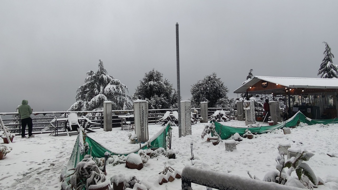 Photo of Others in McLeod Ganj